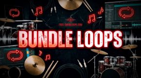 Picture for category Bundle Loops